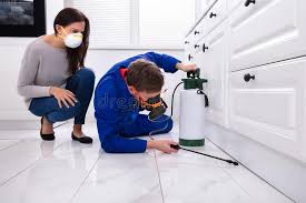 Professional Pest Control in Arlington Heights, IL